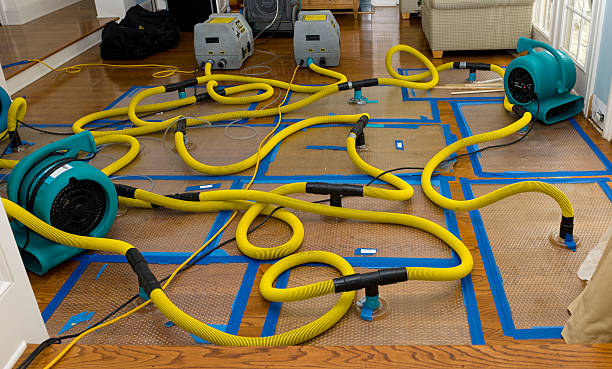 Professional Water Damage Restoration technician working in Littleton, NH